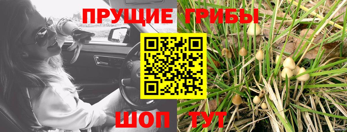 Псилоцибиновые грибы MAGIC MUSHROOMS  Псилоцибиновые грибы ЛСД  Вход с VPN  Добрянка 