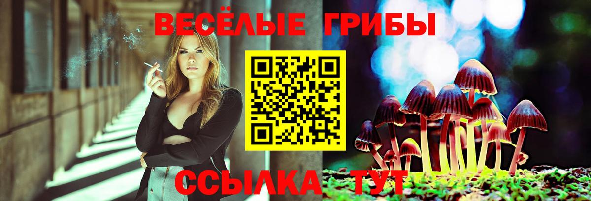 Псилоцибиновые грибы MAGIC MUSHROOMS Добрянка